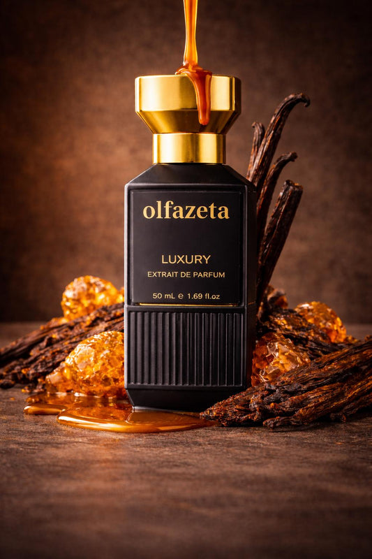 Parfum Vanta accord gourmand ambre et vanille – fragrance chaude et réconfortante